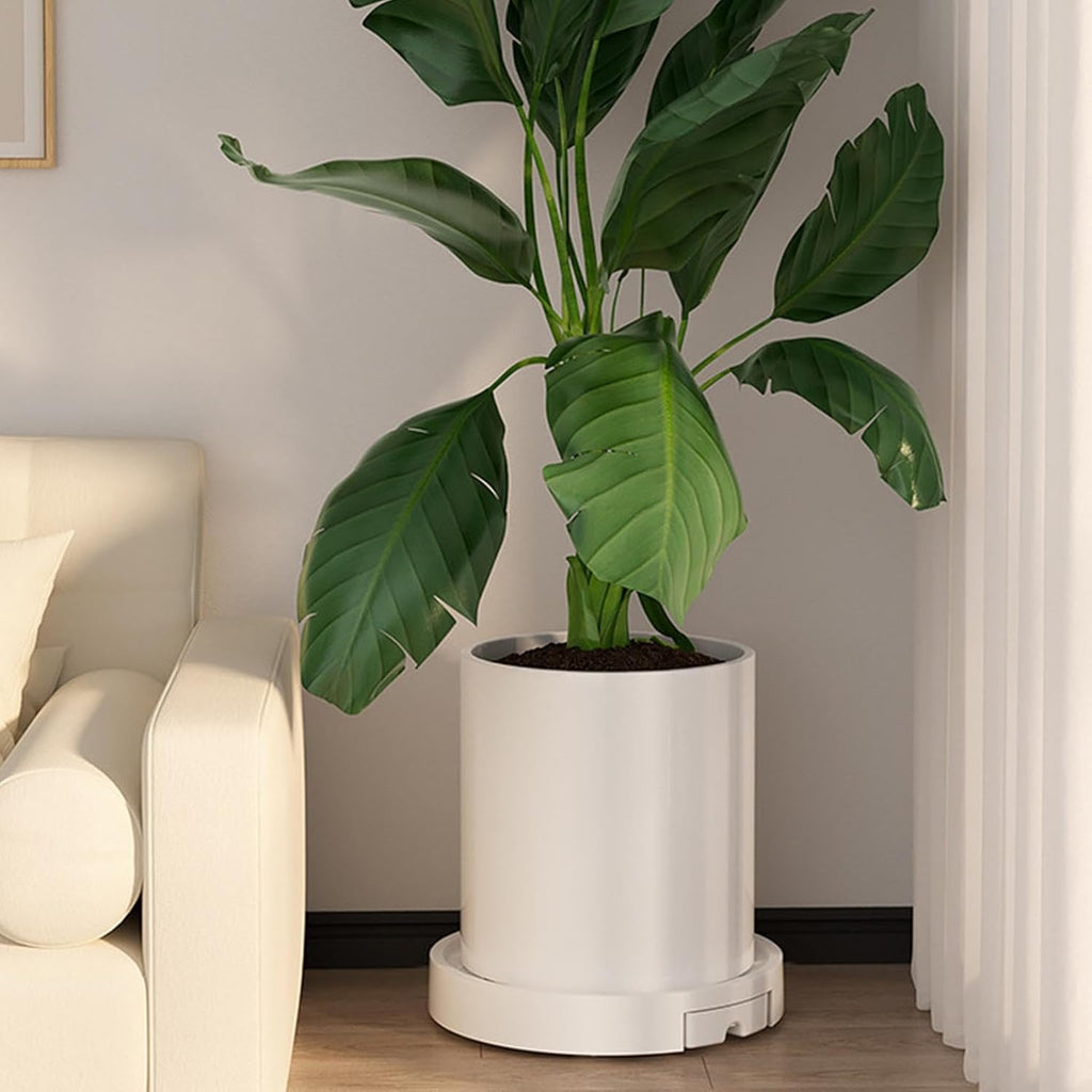 CARLA HOME Rolling Plant Stand with 360° Wheels for Indoor Pots (26 cm)-2034461354777251841