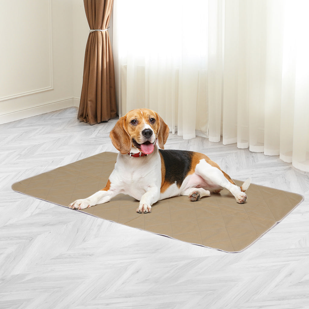 PaWz 2 Pcs 60x90 cm Reusable Waterproof Large-2018816648647151622