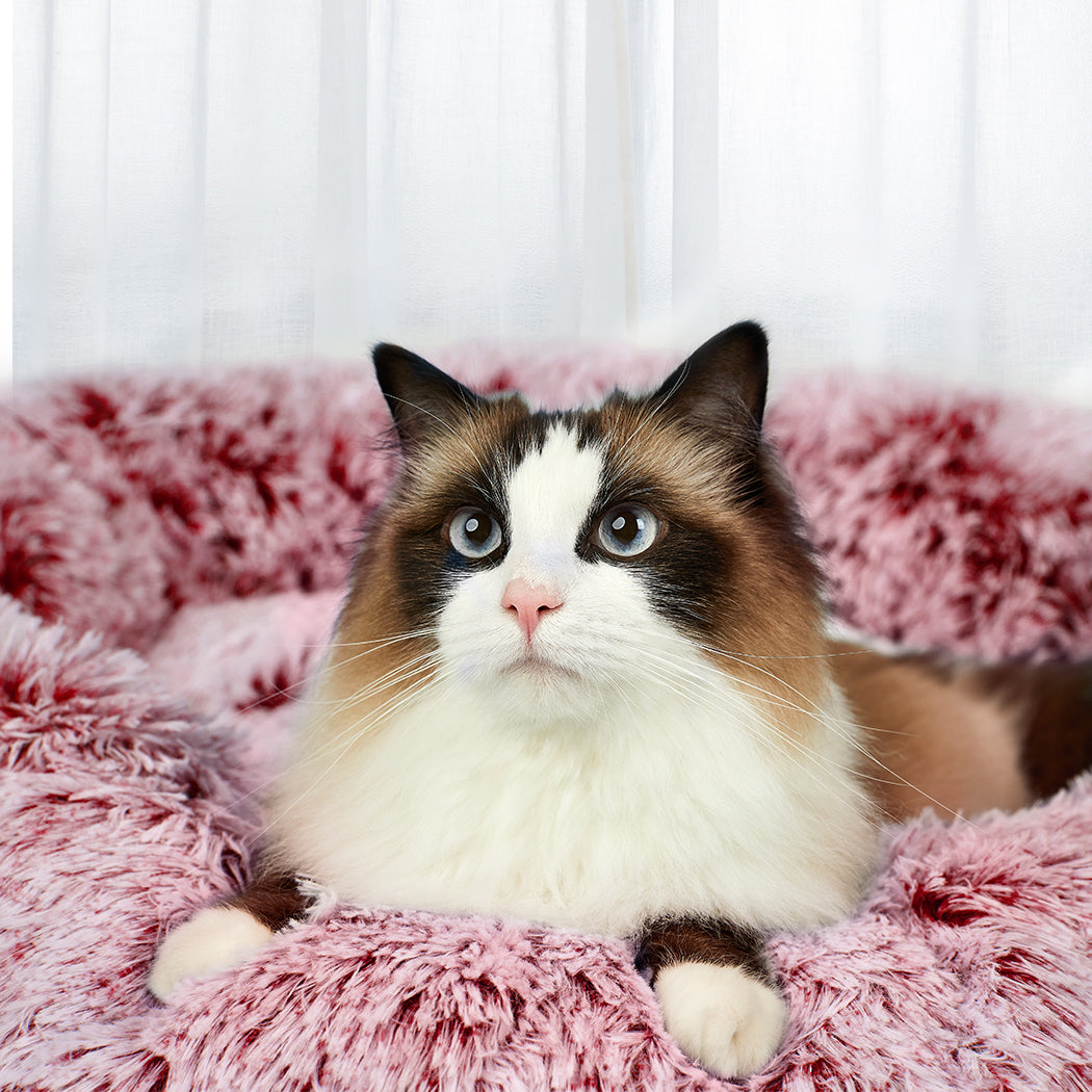 PaWz Pet Bed Memory Foam Dog Donut Pink Large-2018816842675654662