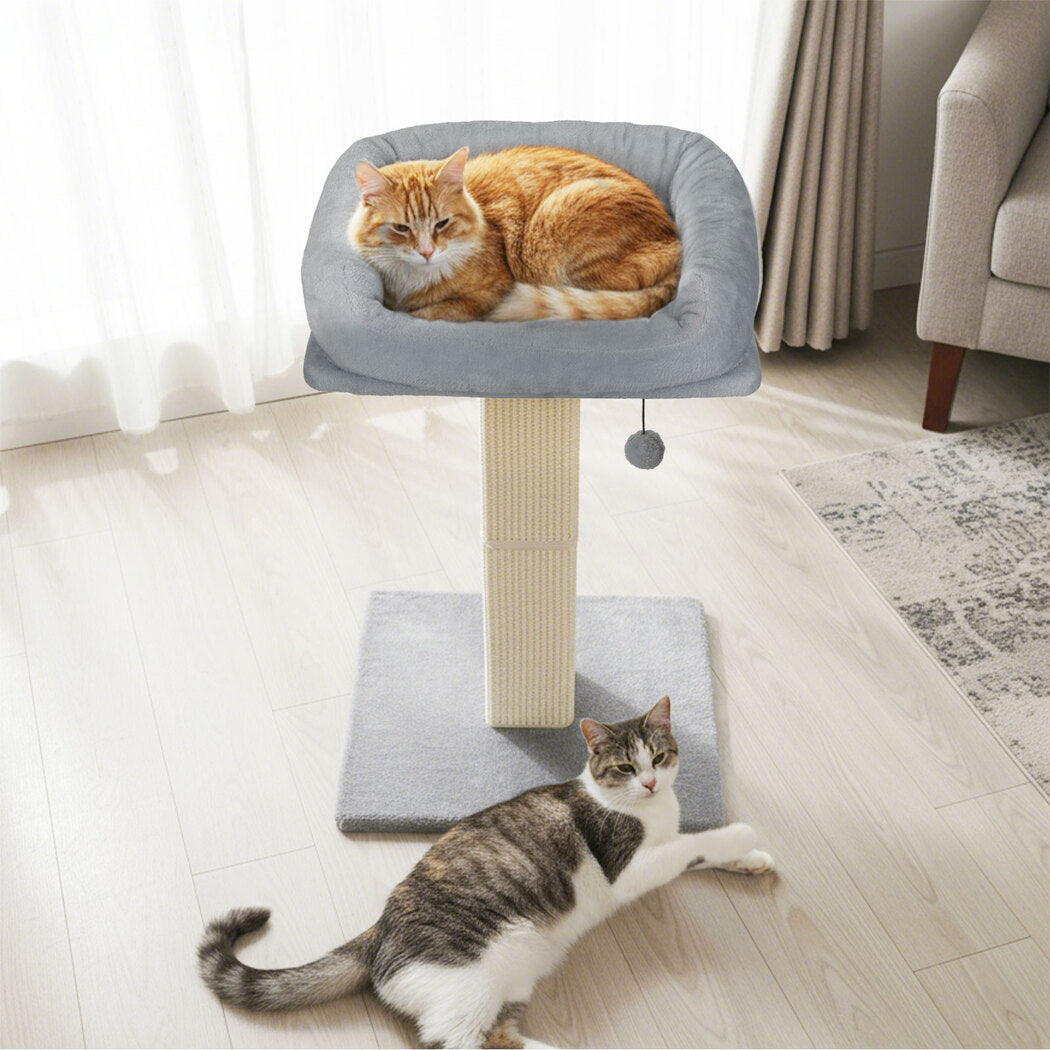 Pawz Cat Scratcher Big Perch Bed-2006732791278080006
