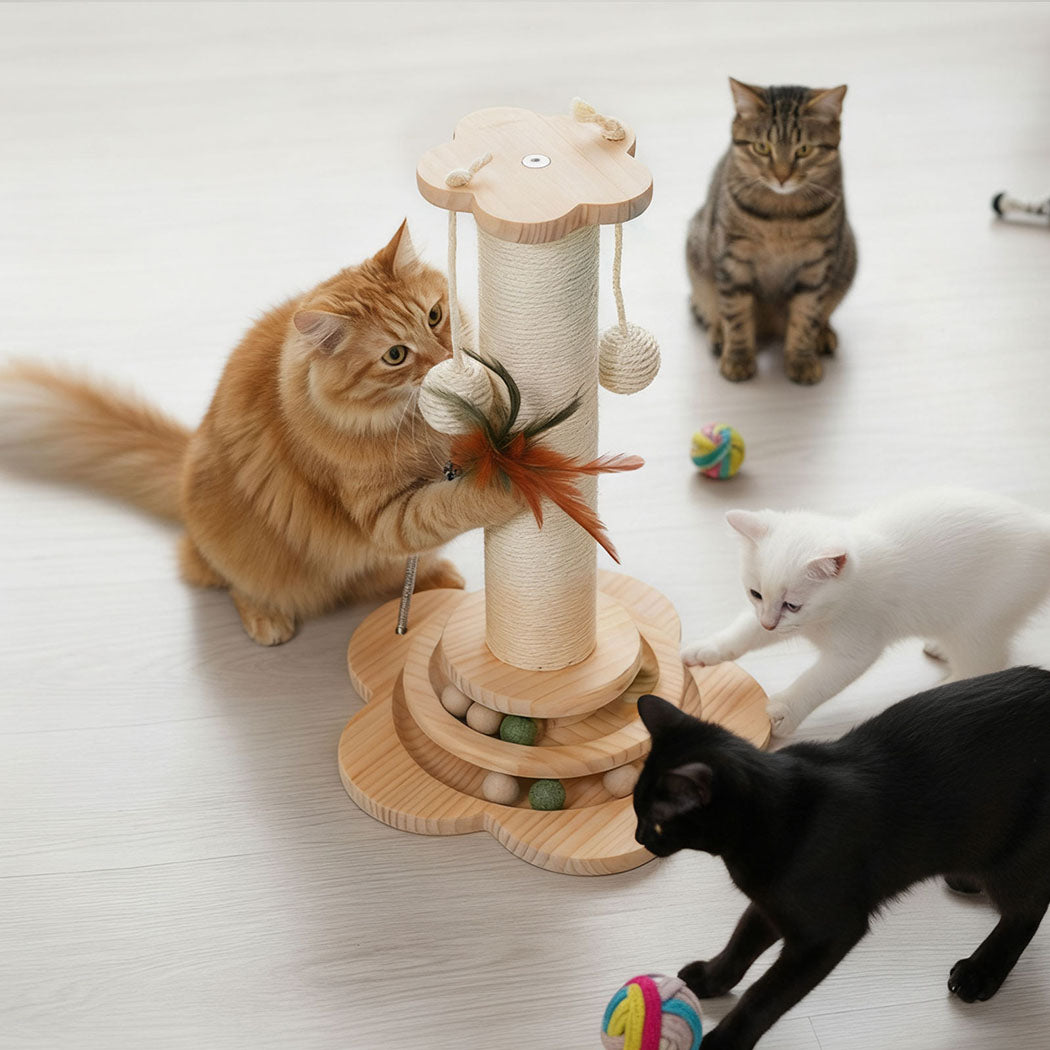Pawz Cat Scratcher Wooden Scratching Post-2006732788295929863