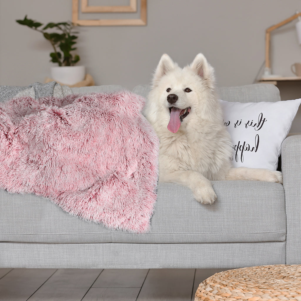 PaWz Dog Blanket Pet Cat Mat Puppy Warm Pink-2018816654733086727