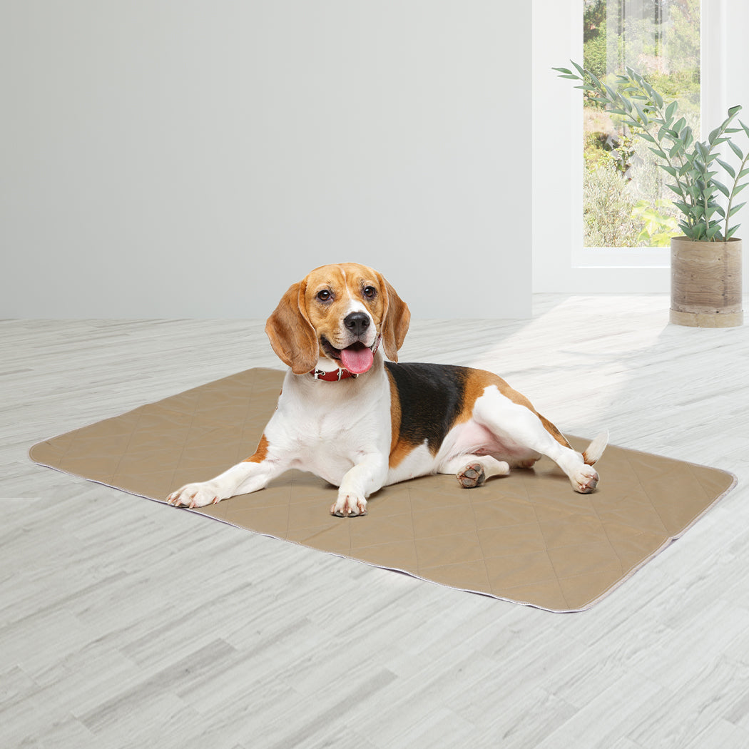 PaWz 2 Pcs 60x90 cm Reusable Waterproof Large-2018816648647151623